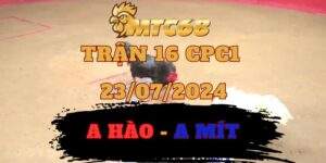 Video Đá Gà Thomo Trận 16 CPC1 23072024 giữa anh Mít Trà Cú Và Anh Hào